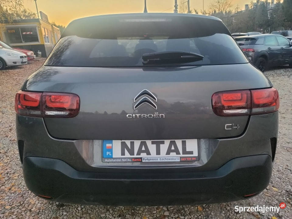 Citroen C4 Cactus Super Stan Mały Przebieg Bydgoszcz sprzedam