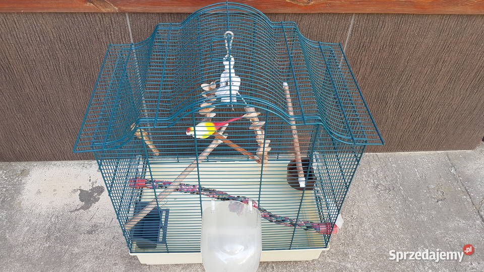 Klatka ptaków z podstawą i wyposażeniem 66x57x35 Warszawa
