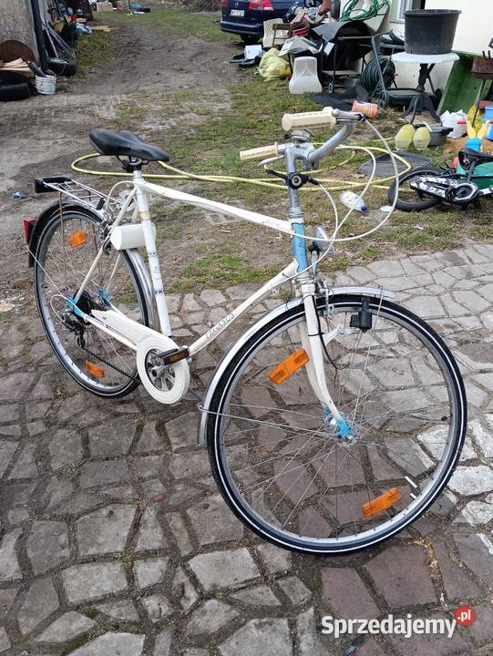 Damka Pegasus okazja Seroczyn