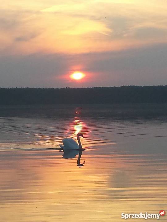 Przyczepa kempingowa z zabudową Kempingowe Niesulice