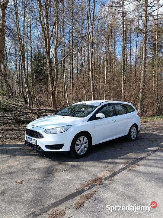 Sprzedam ford focus mk3 2015 16 diesel 6 biegow Starogard Gdański