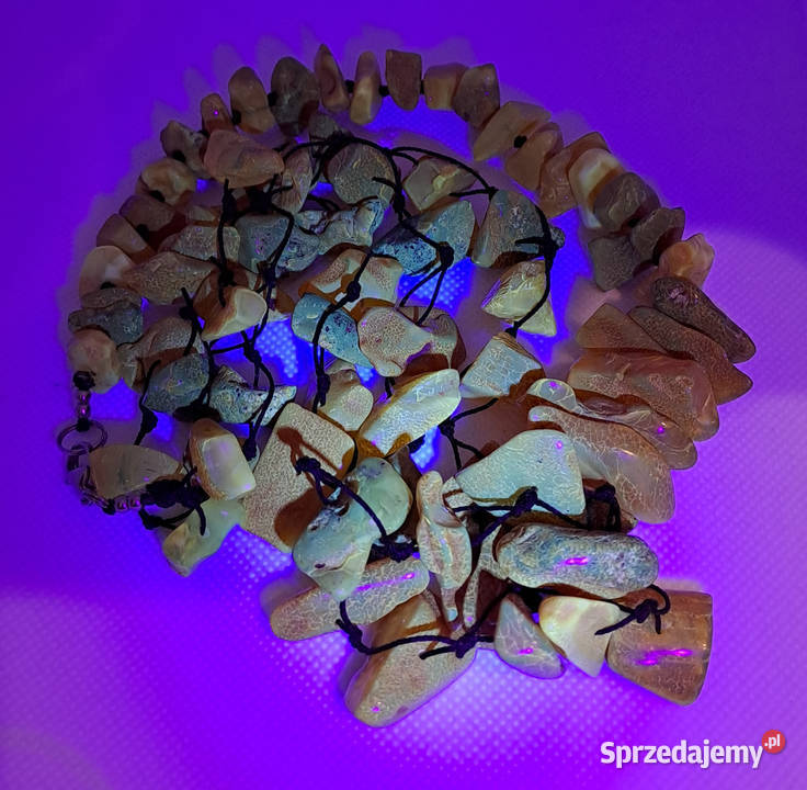 Korale z bursztynu bursztyn bałtycki kudłacz Korale Warszawa