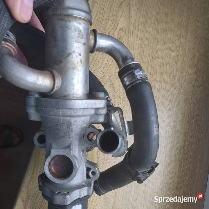 Chłodniczka zawór EGR 13 CDTI Opel DTJ