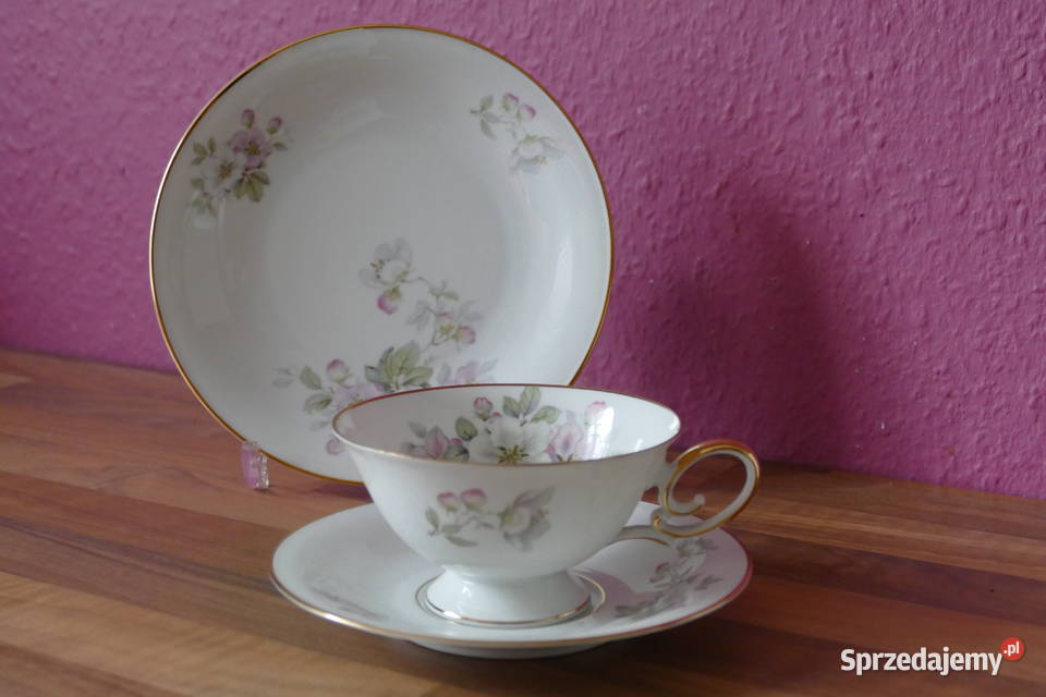 Trio porcelanowe Tirschenreuth Słupsk