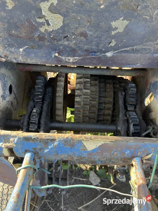 Siewnik poznaniak nieuszkodzony dolnośląskie Przeworno