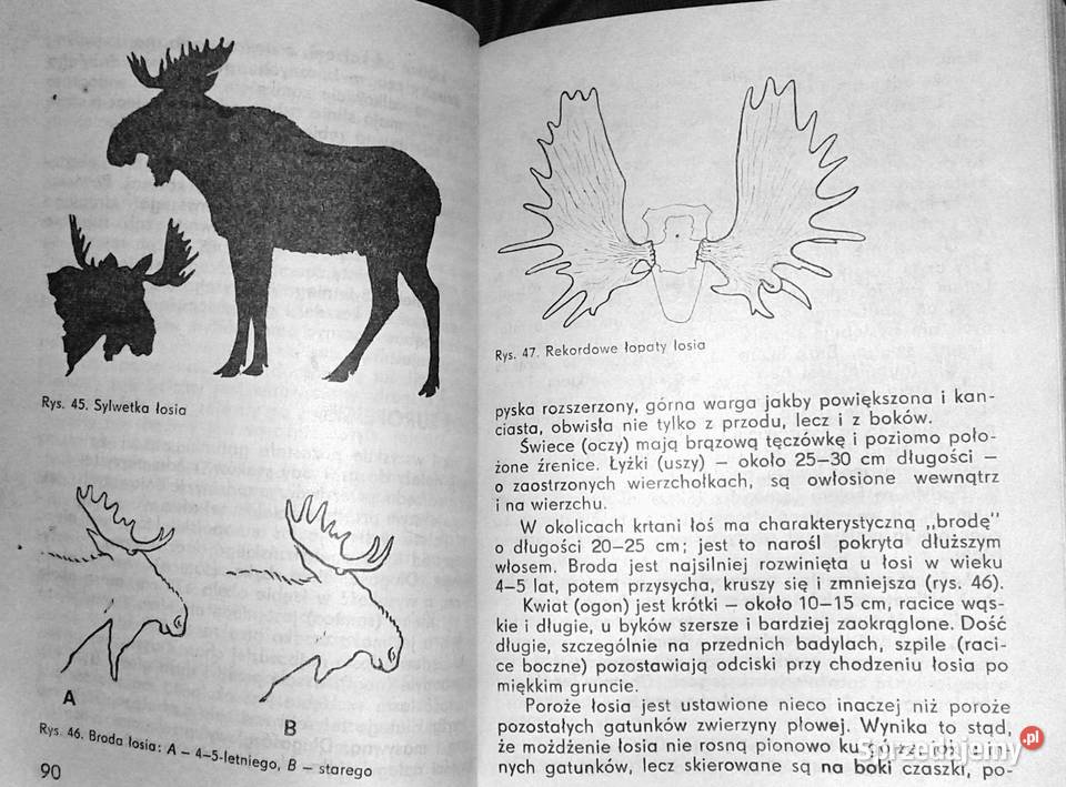 Podręcznik selekcjonera zwierzyny Tadeusz