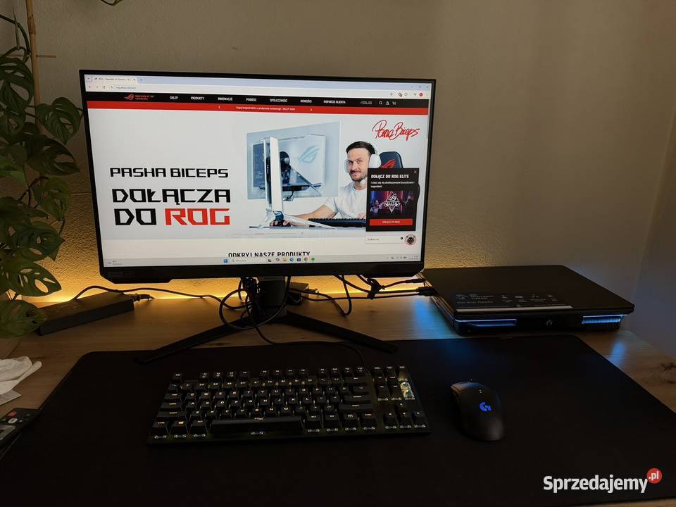 Zestaw ASUS ROG Strix G16 i513450HX64GB1TB