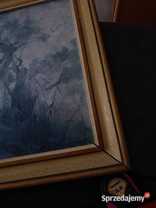 obraz wierzby moczarami Witold Pruszkowski wielkopolskie