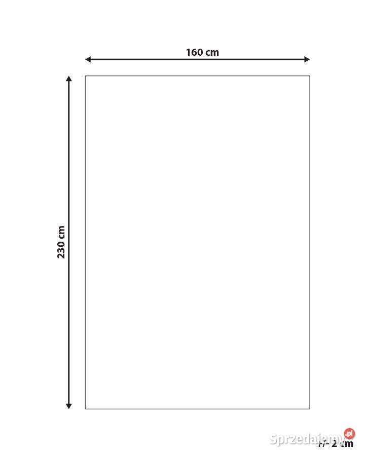 Dywan Szary 160 x 230 Skóra naturalna dolnośląskie Świdnica