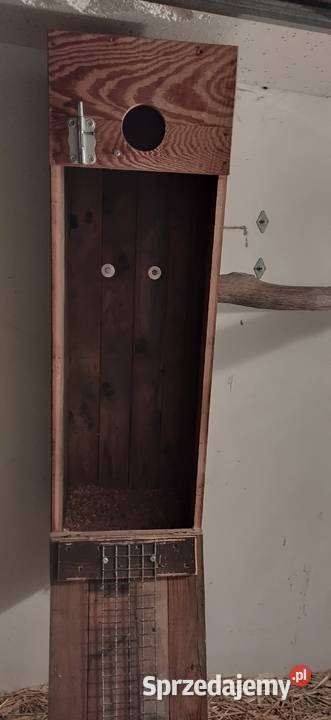 Budki lęgowe Książki Walii Kłobuck