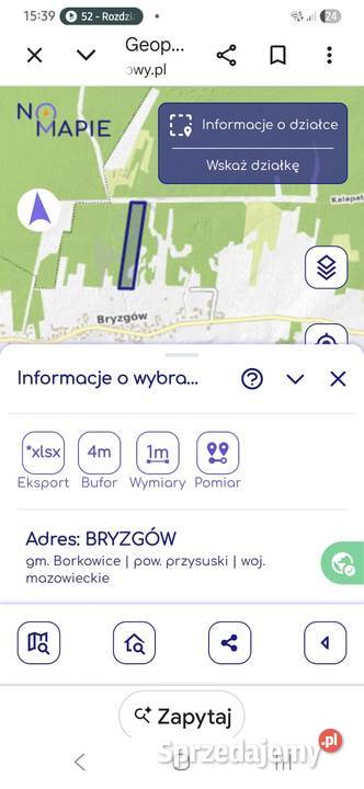 Działka rolna zalesiona Sprzedaż Bryzgów
