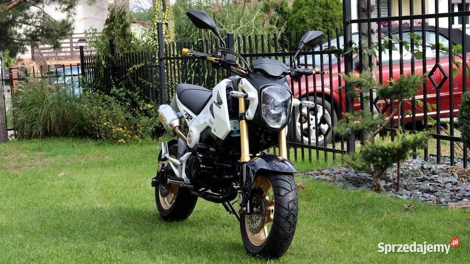 Honda MSX 125 Grom katB