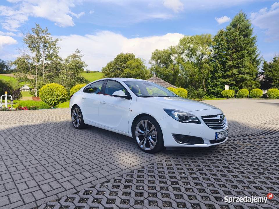 Opel Insignia 20cdti Hatchback Ryglice