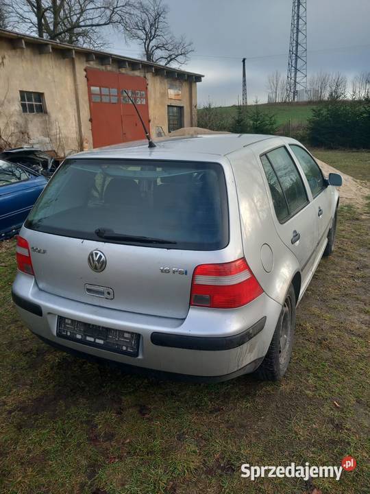 Golf 4 klapa tył tylna LB7Z Barłożno