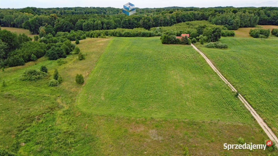 sprzedaży działki Łączno 1503m2 sprzedam