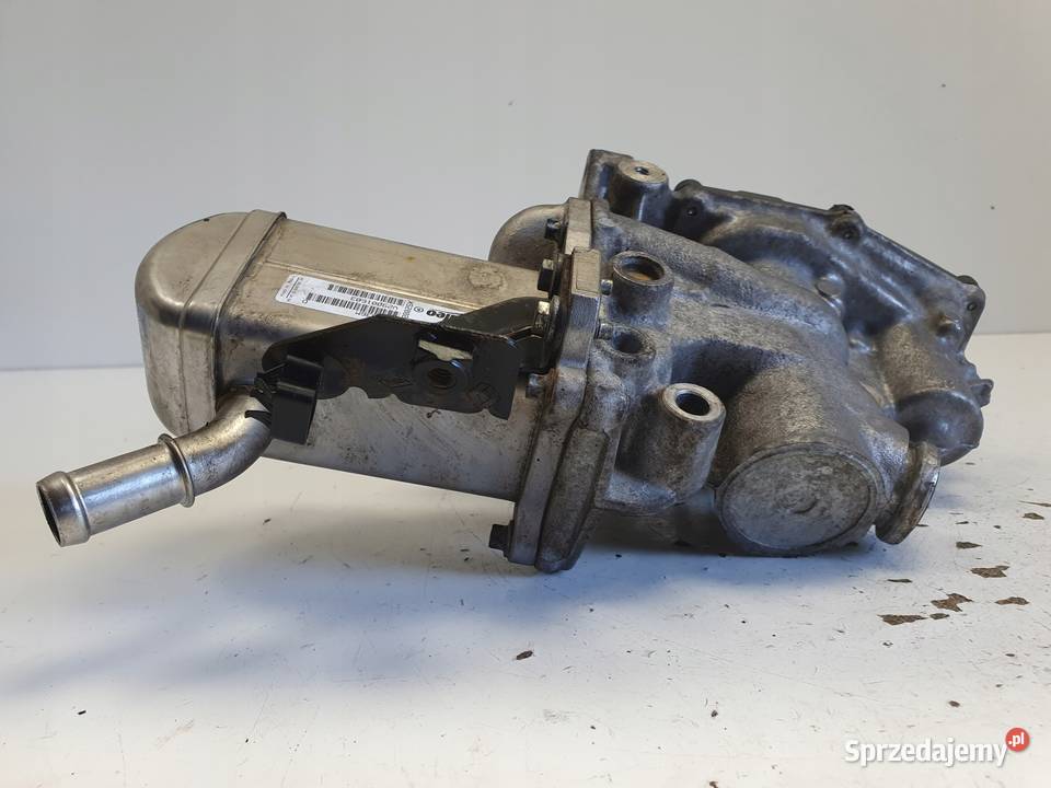 Renault Scenic III 19 DCI CHŁODNICA SPALIN egr Rudka