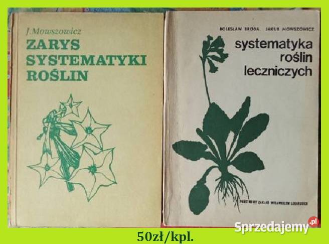Rośliny lecznicze w ogródku Systematyka roślin