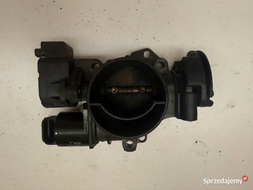 Przepustnica Peugeot 206 11 Ostrzeszów