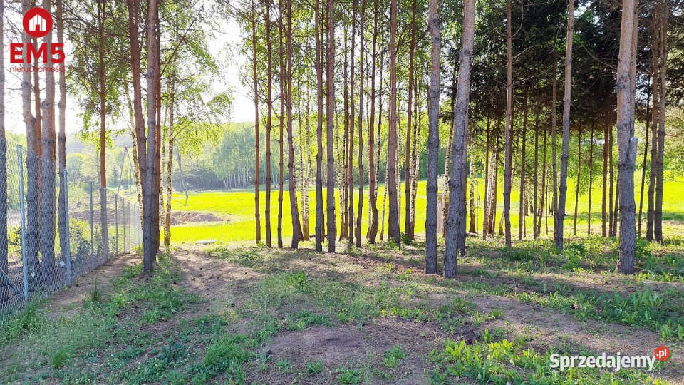 sprzedaży działki 2181m2 Krynice woda