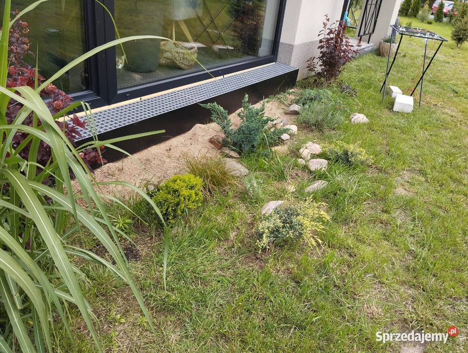 Progi przed budynektaras metalowe dolnośląskie Pichorowice