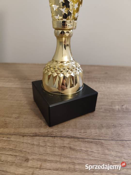 Puchar metalowy złoty Ever 4175 trofeum Rzeszów