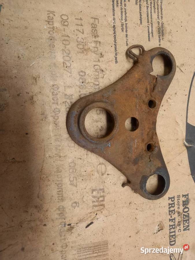 Polka zak rys Sokołów Podlaski