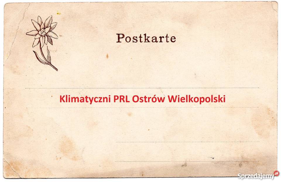 Stare zdjęcie pocztówka Ostschles Teschen