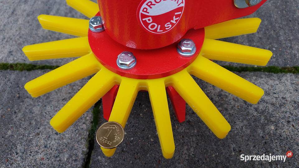 18 gwiazdy pielące gwiazda pieląca chwastownik