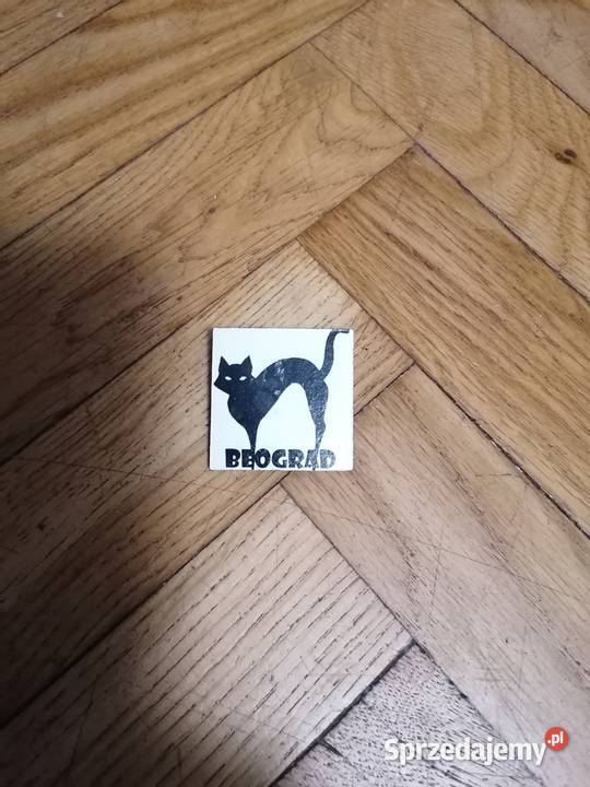 Broszka z kotem Gdańsk