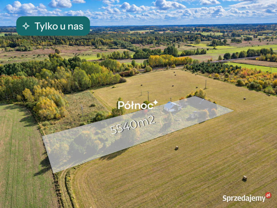 Dom na końcu świata cisza prywatność Liczba pokoi 3 Franopol