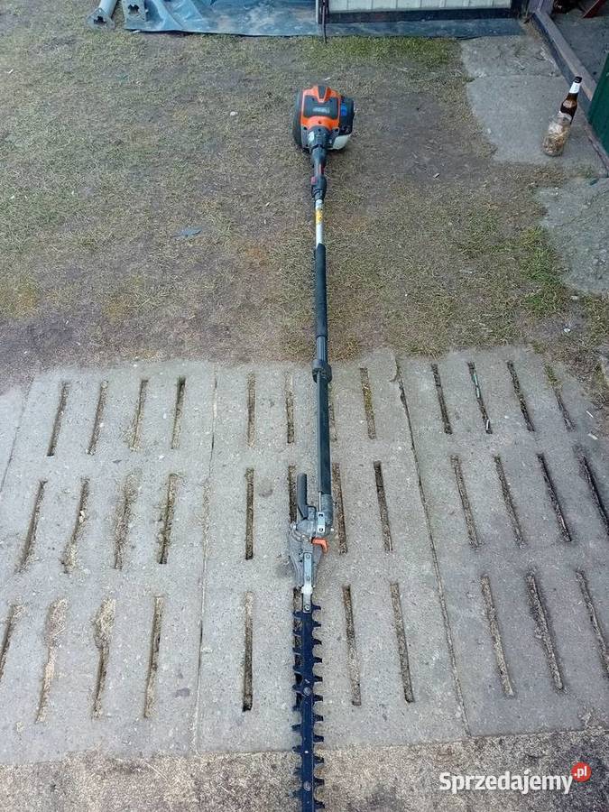 Nozyce do zywoplotu Łuków