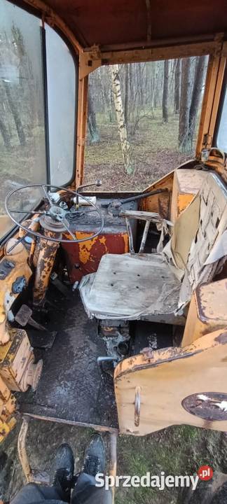 Ładowarka kołowa hanomag wielkopolskie Chełst