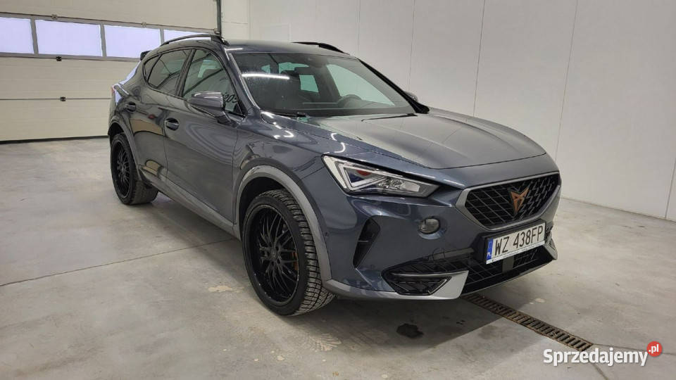 Cupra Formentor 20 TSI 4Drive DSG Formentor