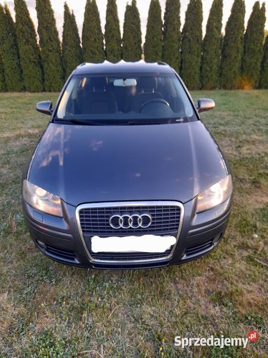 Audi A3 8P sportback klima alu super stan A3 Brodnica