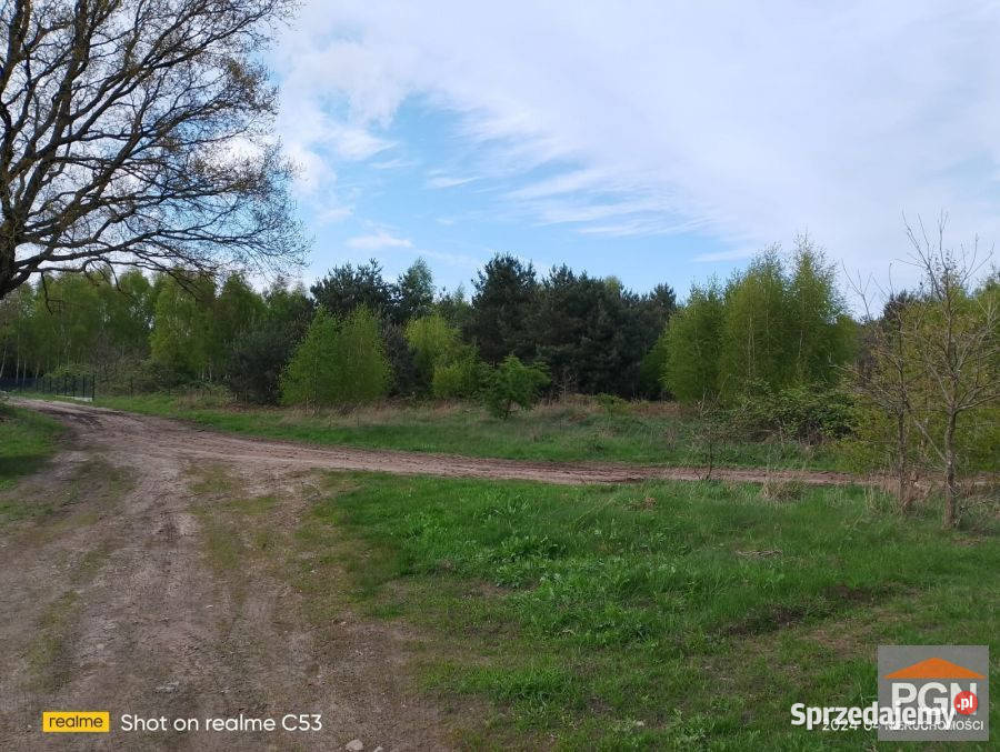 Grunt 4490m2 Dusin Dusin sprzedam