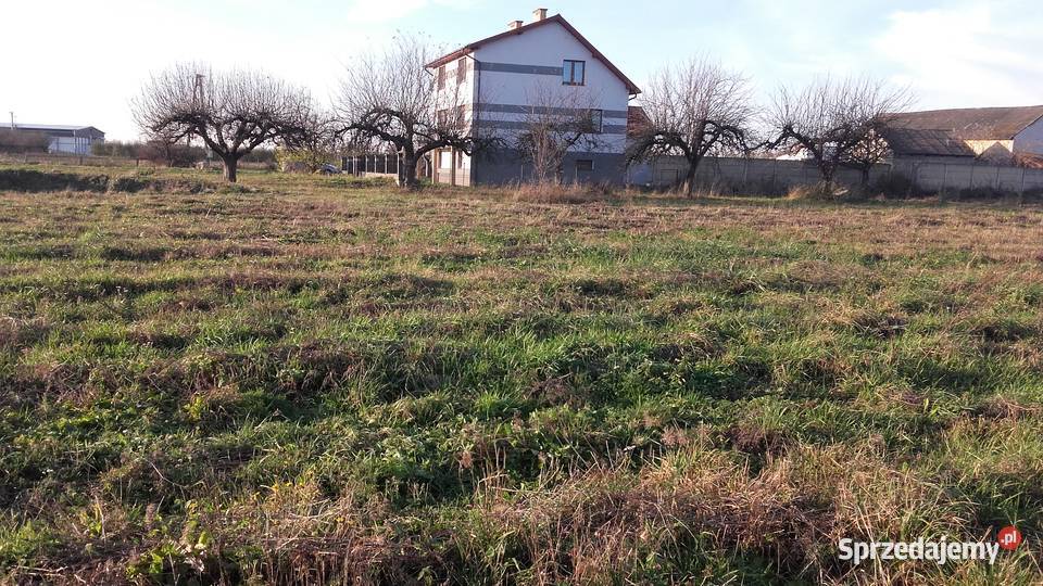 Działka budowlana 46m szerokości