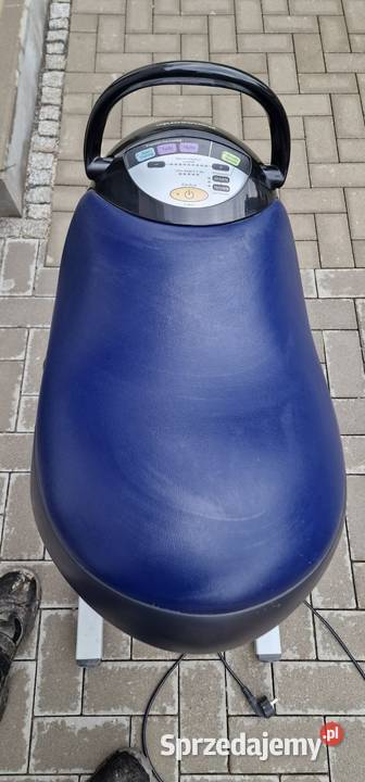 Panasonic Joba Hipoterapia Symulator jazdy Zdrowie lubuskie