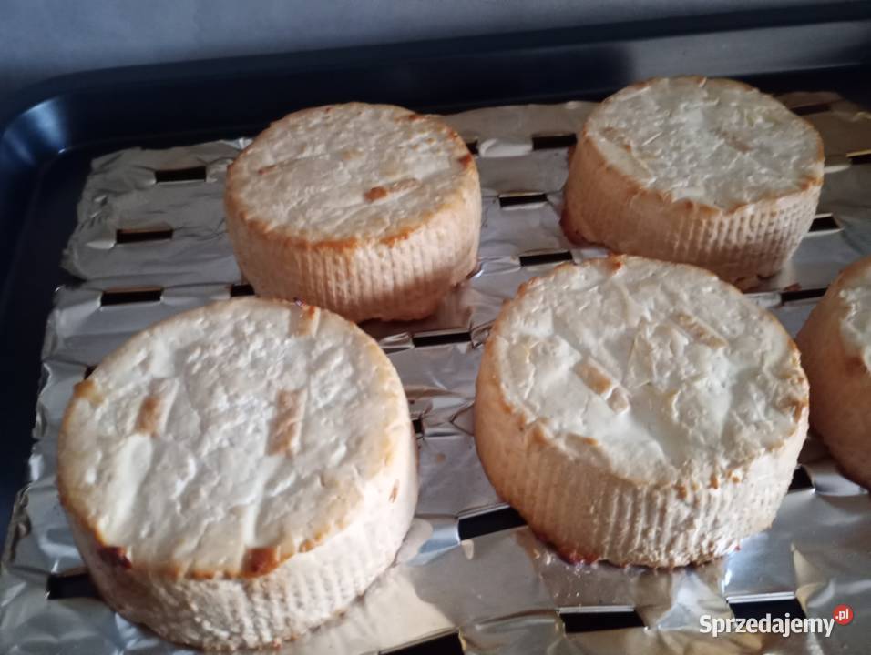 Sprzedam ser wędzony kozi mleko koziekrowie Sadlno sprzedam