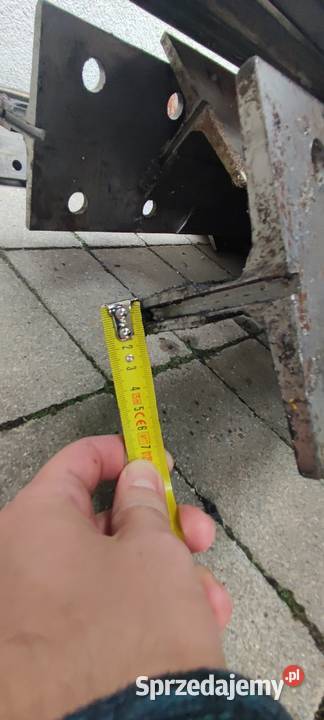 Teownik goracowalcowany Przecławice