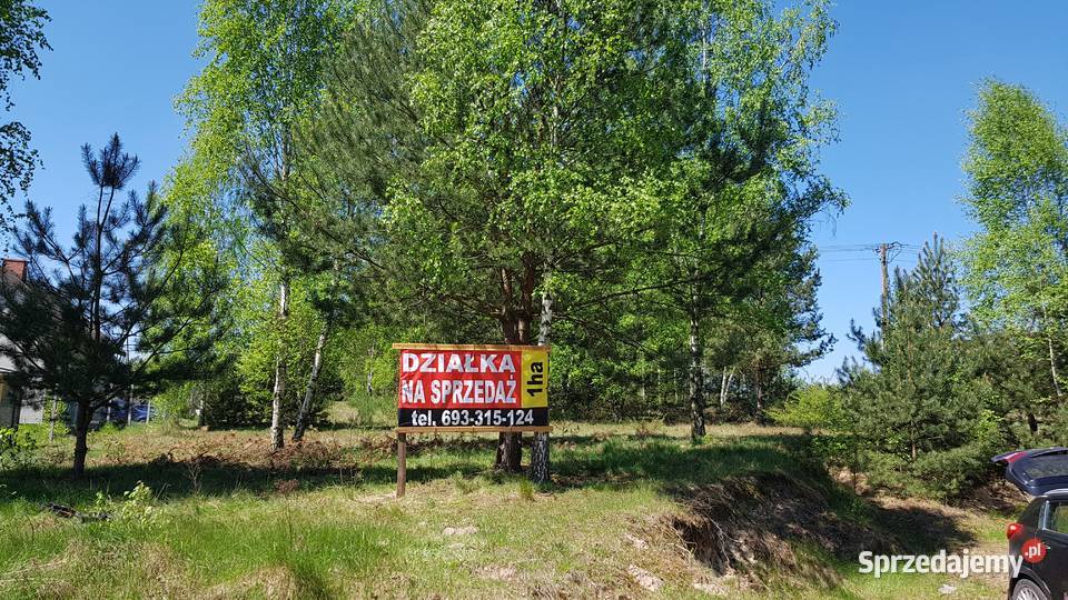 DZIAŁKA budowlana z lasem piękna okolica Taurów Sprzedaż sprzedam