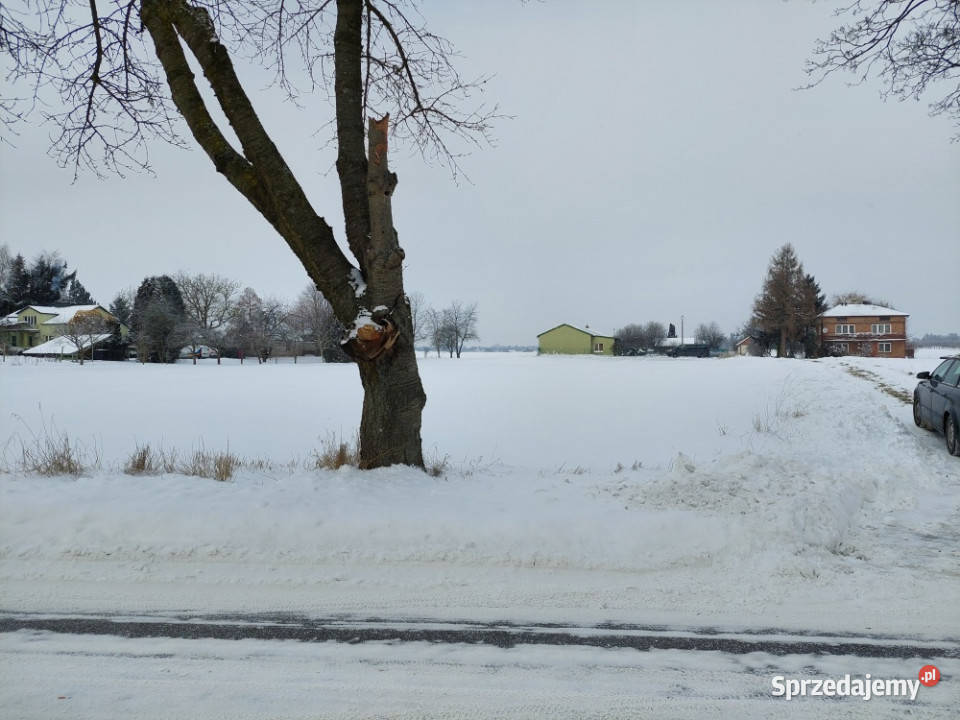 Strzelce Działka do zabudowy siedliskowej 1800m2