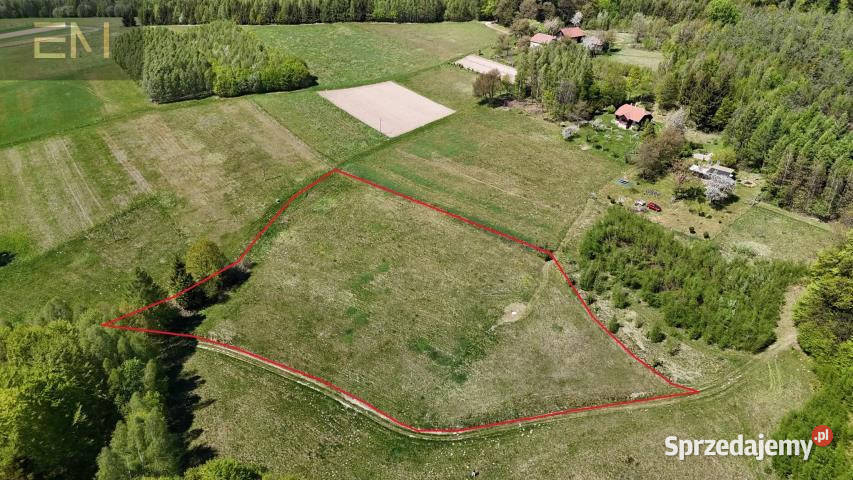 sprzedaży gruntu Lutcza 7000m2 podkarpackie sprzedam