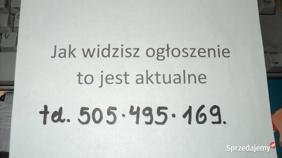 Piec Camino Dozamet Wyczystka Mowa kujawsko-pomorskie