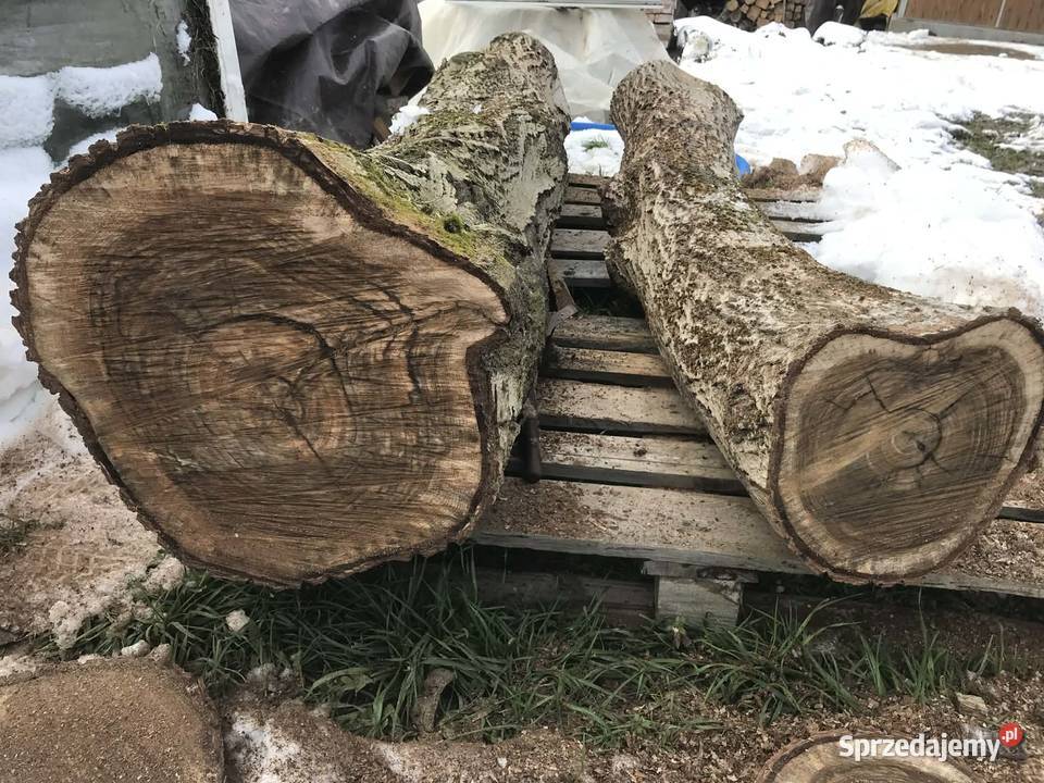 drewno orzechowe pień na foszty deski rzeźba