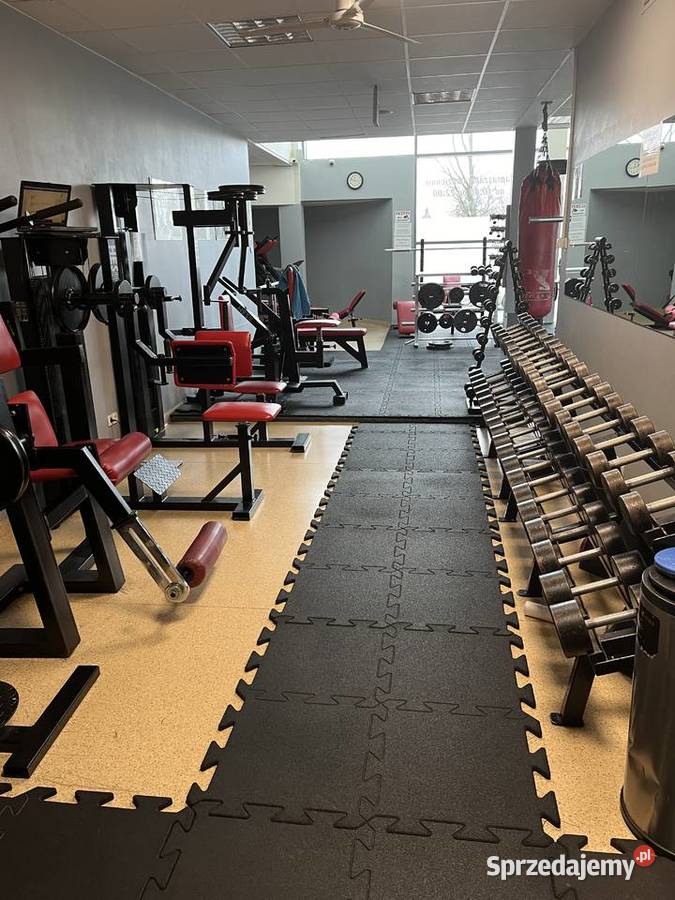 Kompletne wyposażenie siłowni firmy Hes maszyny dolnośląskie Środa Śląska