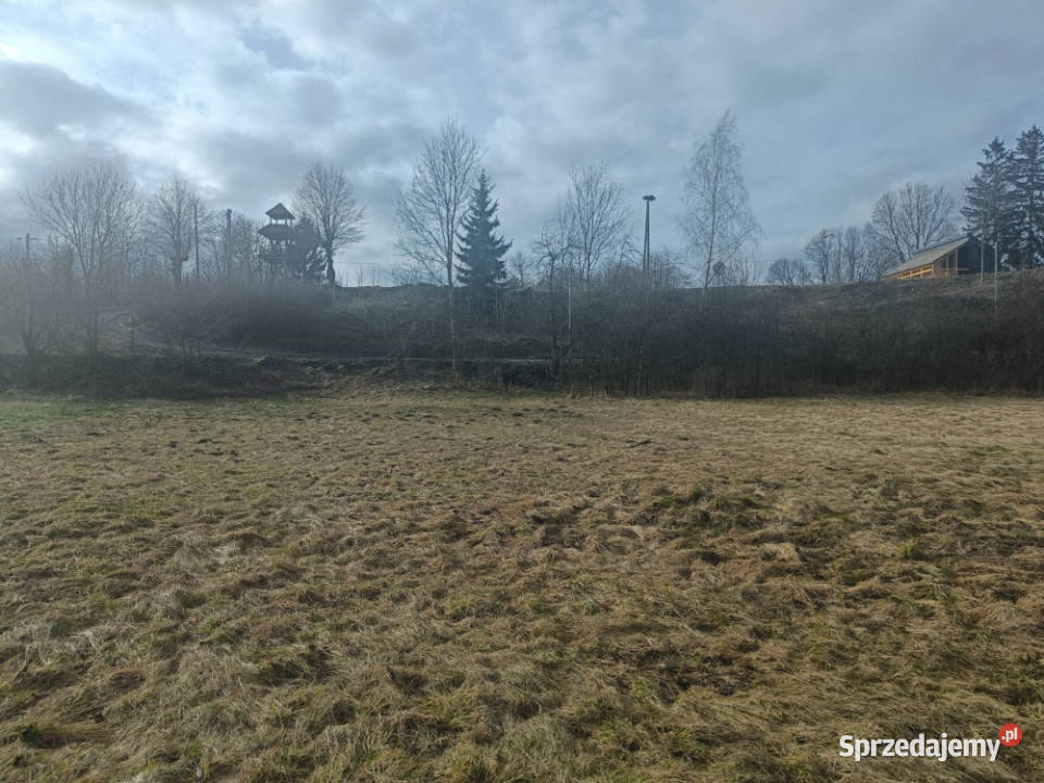 Działka rolna Stawki pow 3703 m2 Sprzedaż