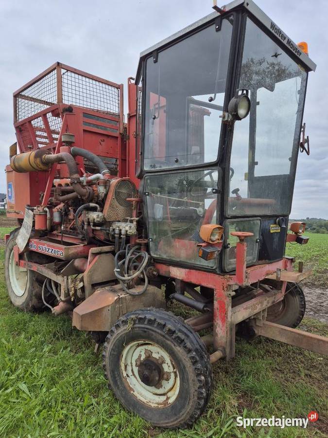 Kombajn do selerów buraków warzyw Italo Svizzera małopolskie Proszowice