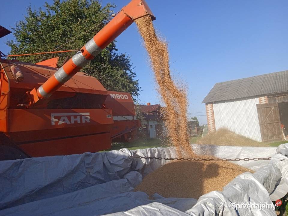 Kombajn zbożowy Fahr M900 Zbożowe