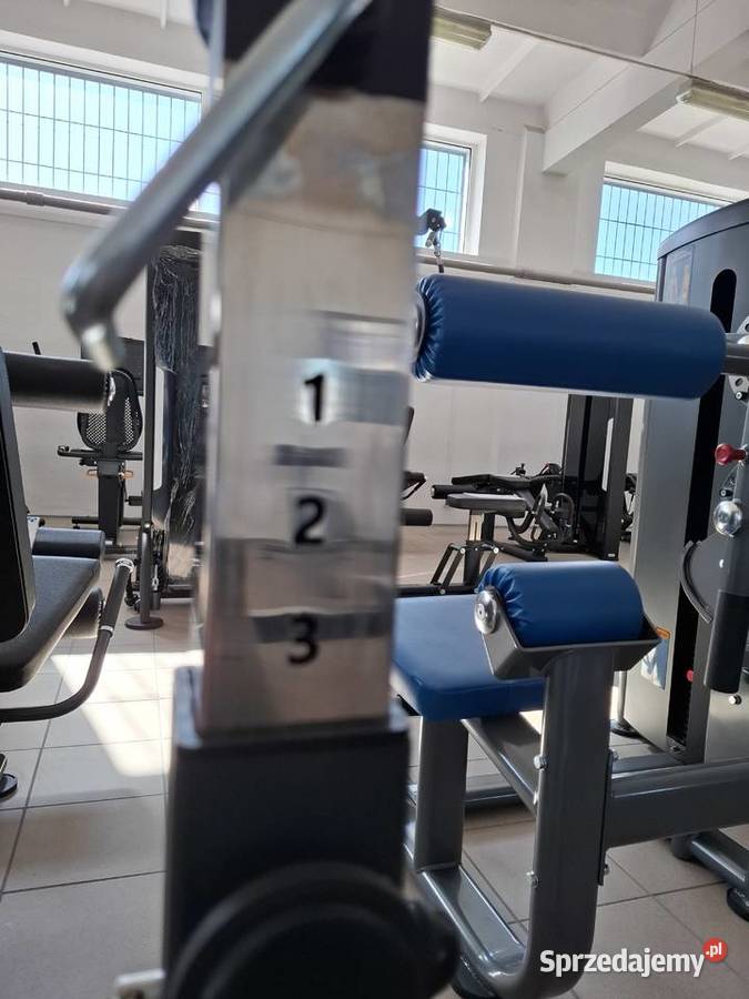 Ławka płaska pod sztangę Eurosportfitness Wałcz