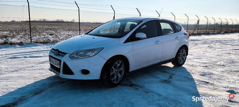 Fort Focus SALON POLSKA ZAMIANA Lubin